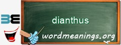 WordMeaning blackboard for dianthus